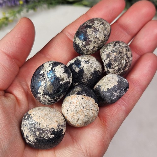 Covellite pyrite specimen - &,